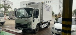 ISUZU đông lạnh thùng ngắn 3.6m